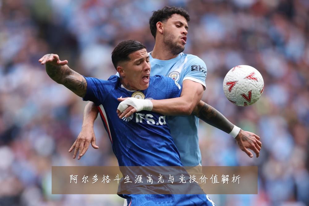 阿尔多格斗生涯高光与竞技价值解析