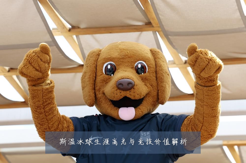 斯温冰球生涯高光与竞技价值解析