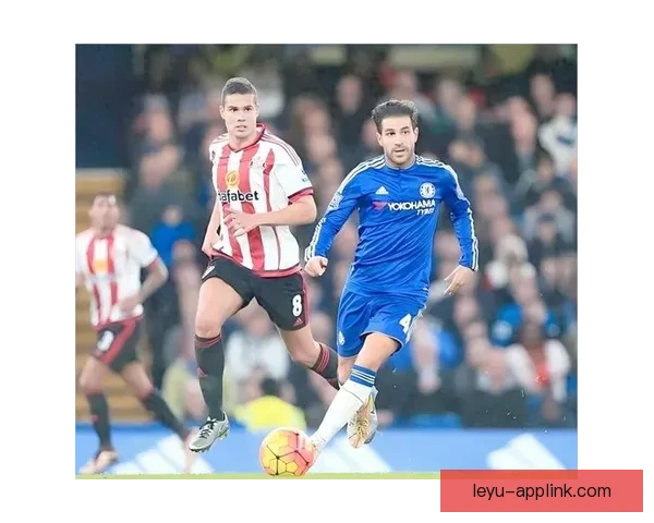 世界杯足球竞猜赔率分析及热门球队赛前预测与投注指南